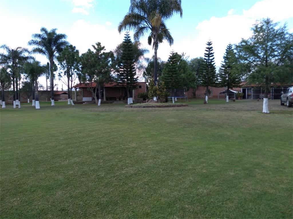 Rancho en venta en Tepatitlan Jalisco Catálogo de Inmuebles